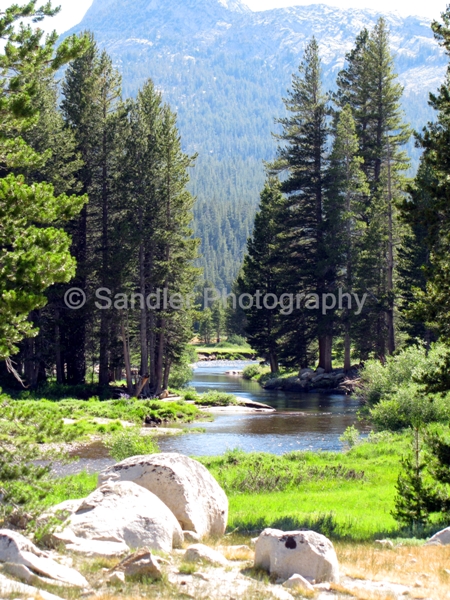 http://www.sandlerphotography.com/Photos/July 2010 125 -2 -LR.JPG